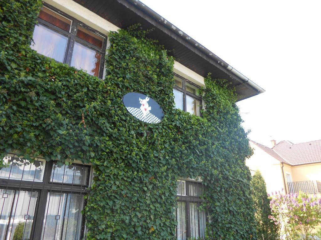 White Rabbit Hall Hotel Podebrady Luaran gambar